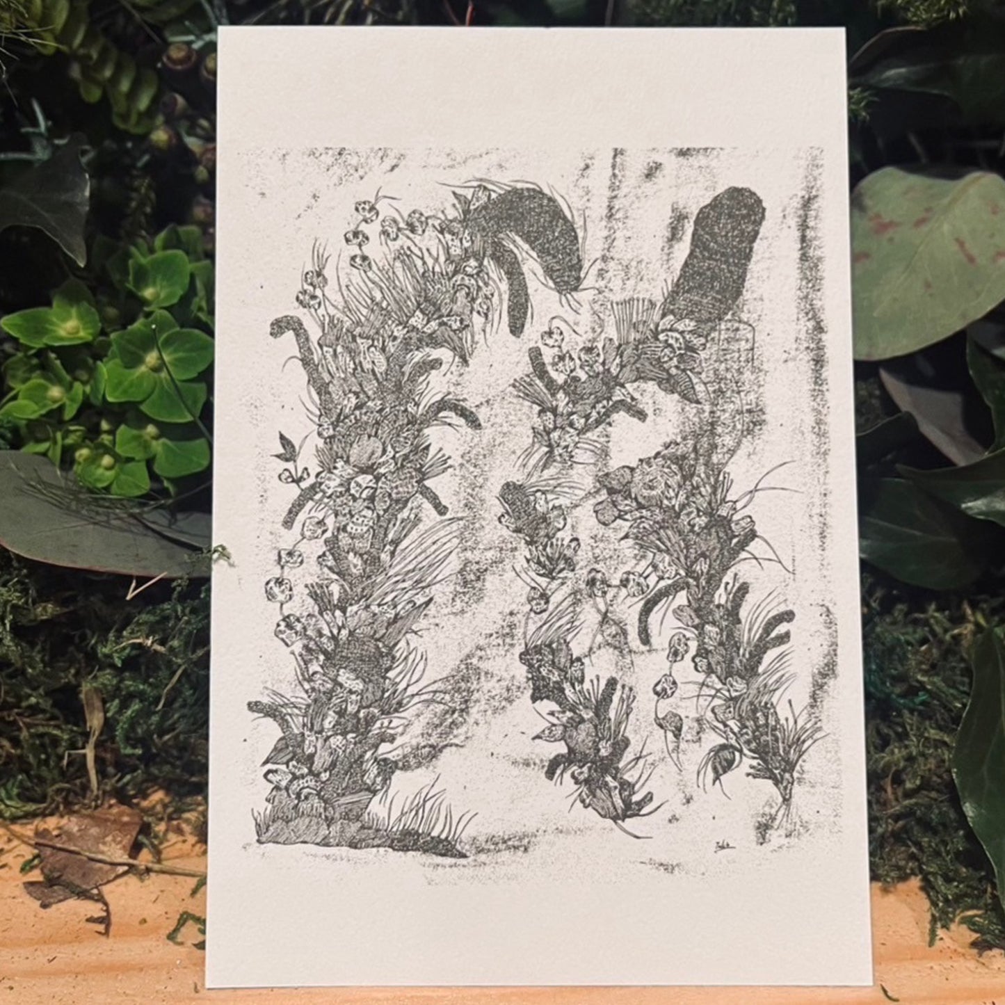 “Low Frequency Sound” ポストカードセット